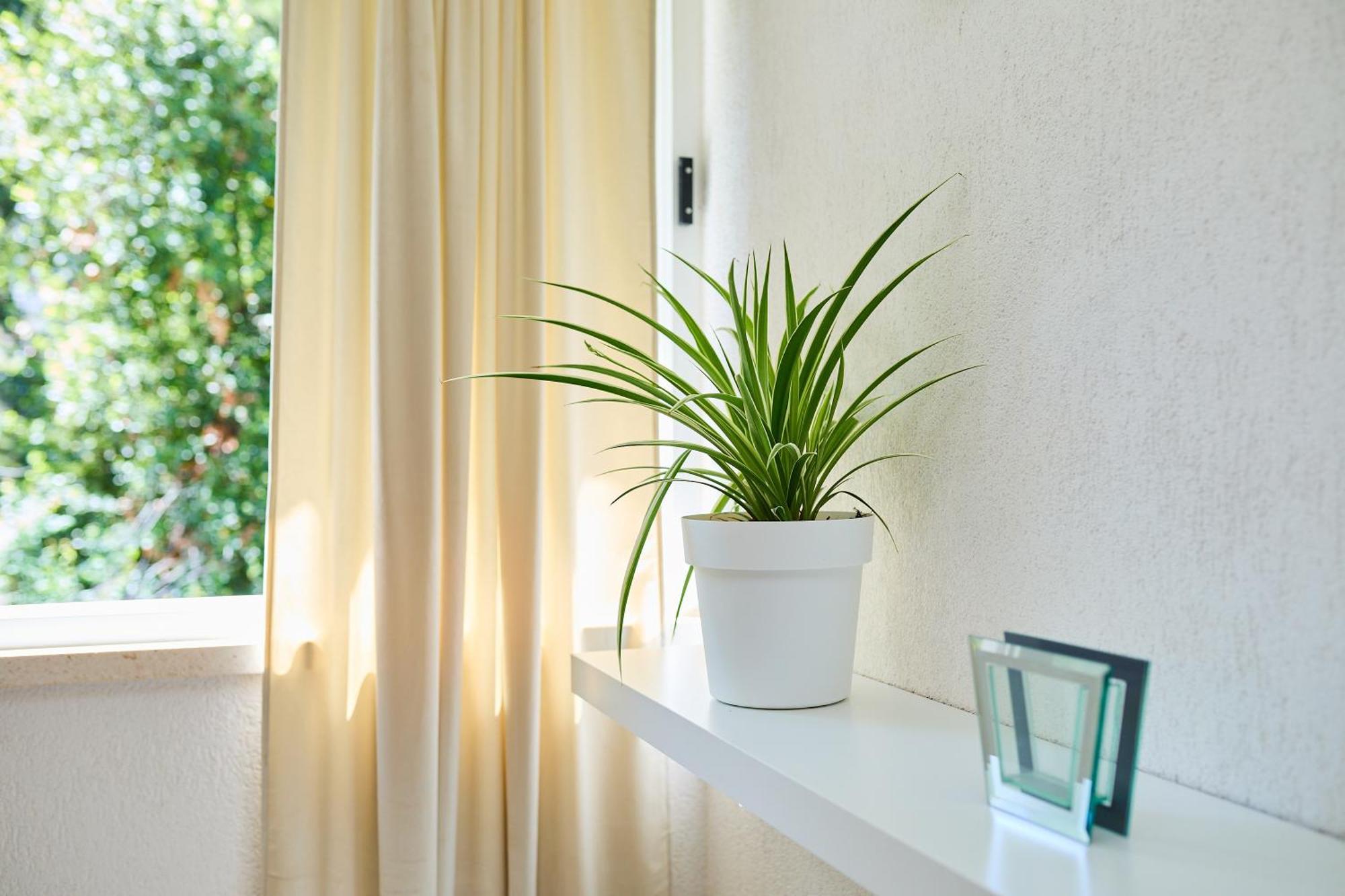 דוברובניק Apartment Promenada- 4Pax With Parking מראה חיצוני תמונה